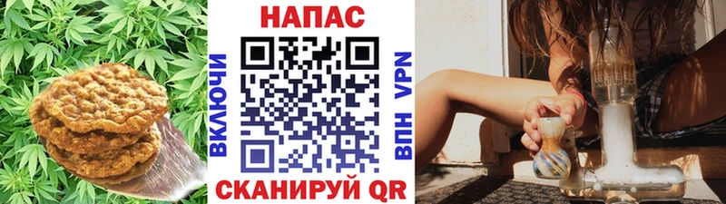 закладка  Новочебоксарск  Еда ТГК конопля 