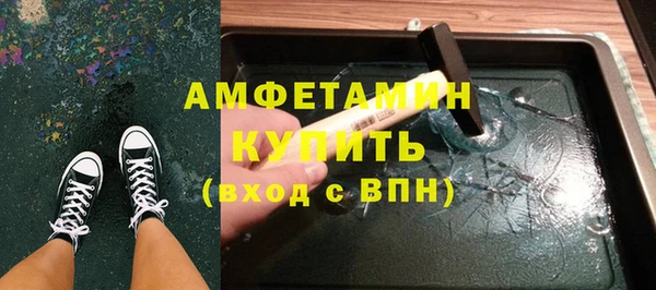 индика Горняк