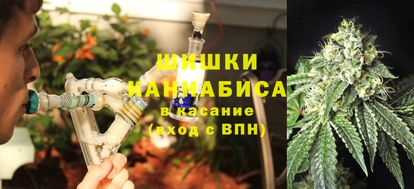 индика Горняк