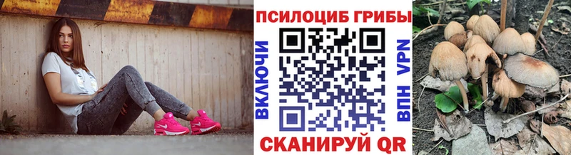 Псилоцибиновые грибы MAGIC MUSHROOMS  blacksprut зеркало  Новочебоксарск  маркетплейс какой сайт  закладка 