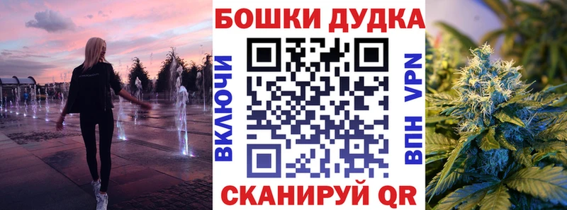 Бошки Шишки план  блэк спрут ТОР  Новочебоксарск  как найти закладки 